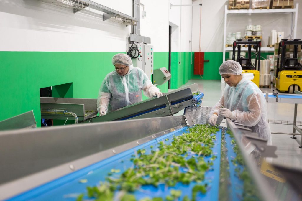 Chaine de production de vins pour laquelle Ateliers Agiles peuvent réalisation la conception de pièces de rechange.